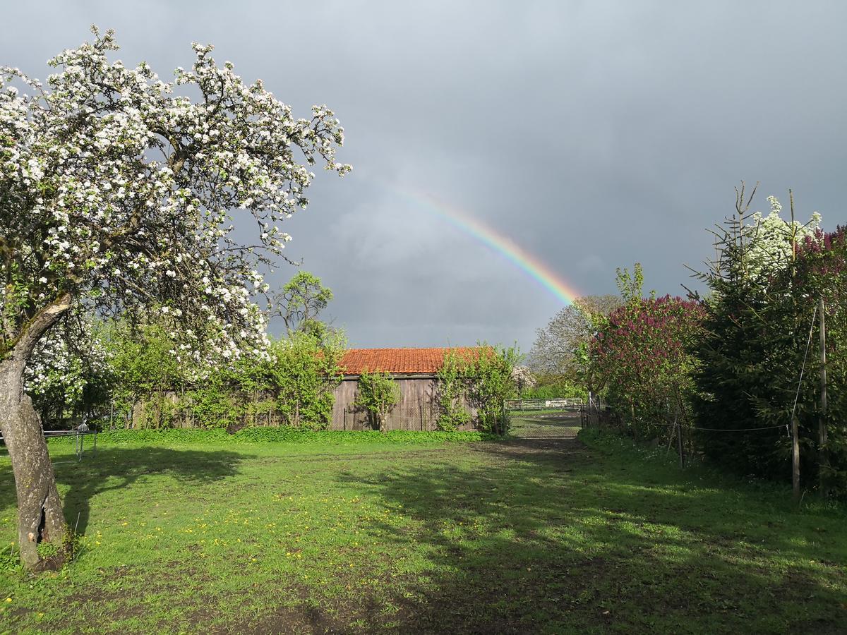 האוזן Ferienhaus Am Eisgraben מראה חיצוני תמונה